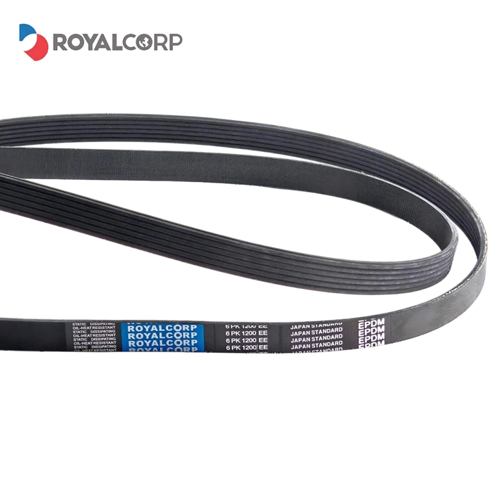 Cinturó de poli V elàstic / elàstic Multirib