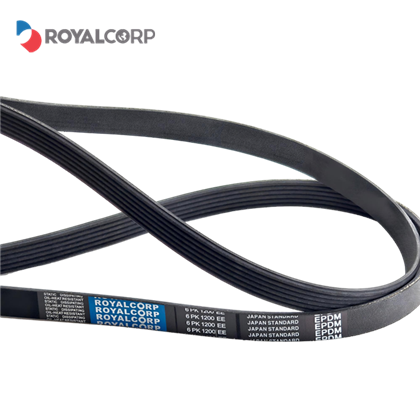 Cinturons elàstics acanalats